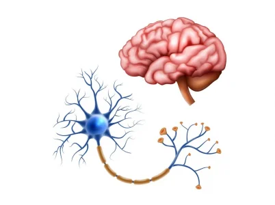 Wie wirkt Pregabalin 300 mg – Der Wirkmechanismus einfach erklärt